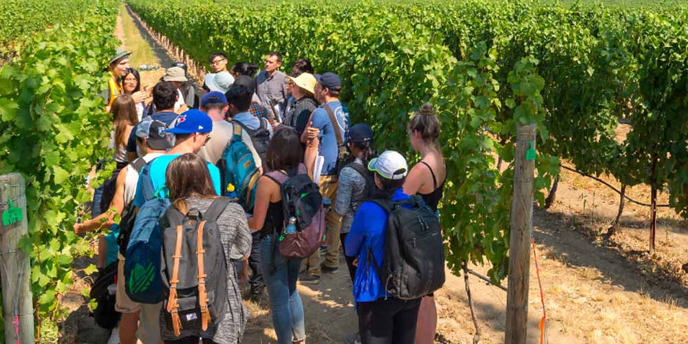 Students on field trip at Kelowna winery