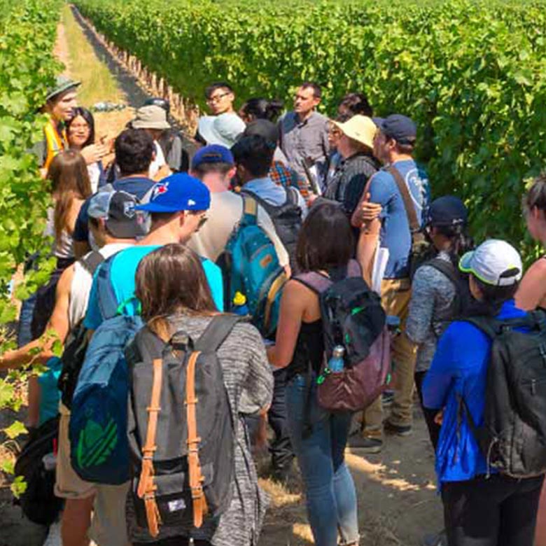 Students tour at winery