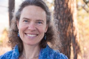 UBC researcher says management of pine beetle not working