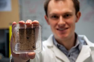 New research finds that mould can infiltrate and weaken bio-composite materials