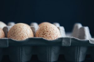 Why don’t we eat turkey eggs?